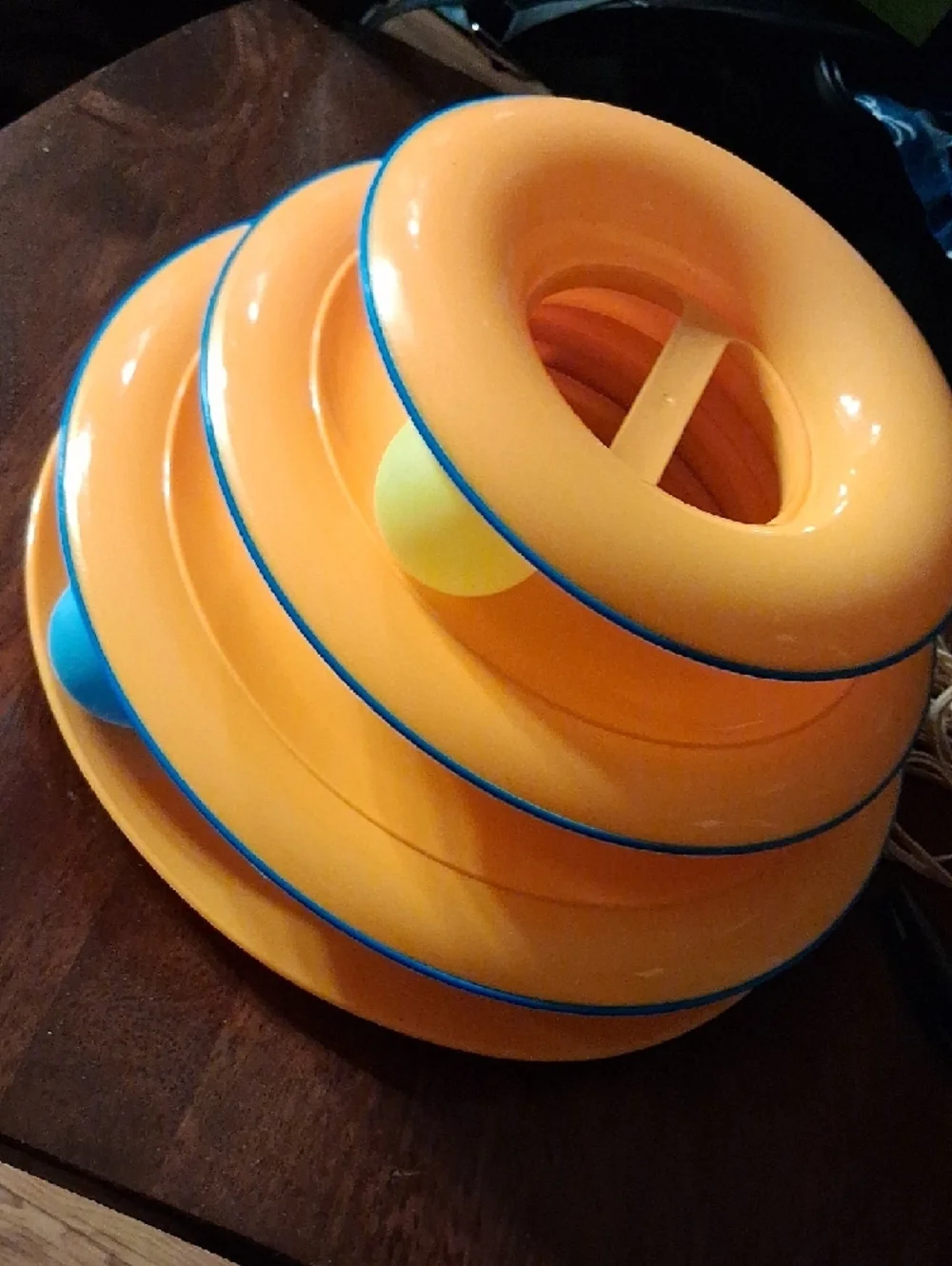 Stacking Ring Toy - Bright Orange with Blue Trim For Cats